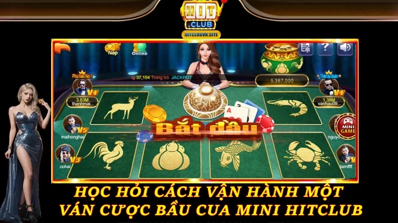 Học hỏi cách vận hành một ván cược Bầu Cua Mini Hitclub