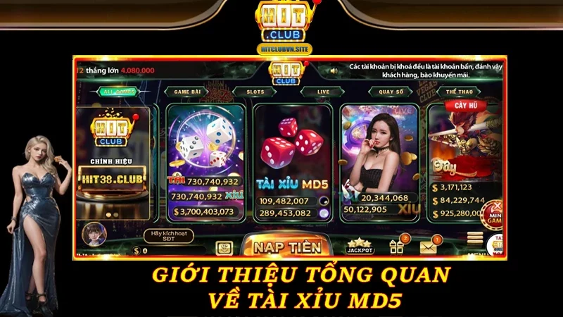 Giới thiệu tổng quan về Tài Xỉu MD5