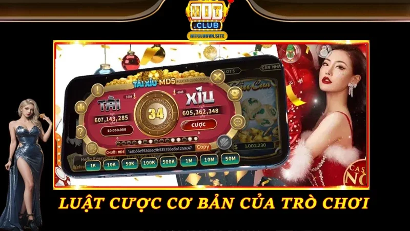 Luật cược cơ bản của trò chơi